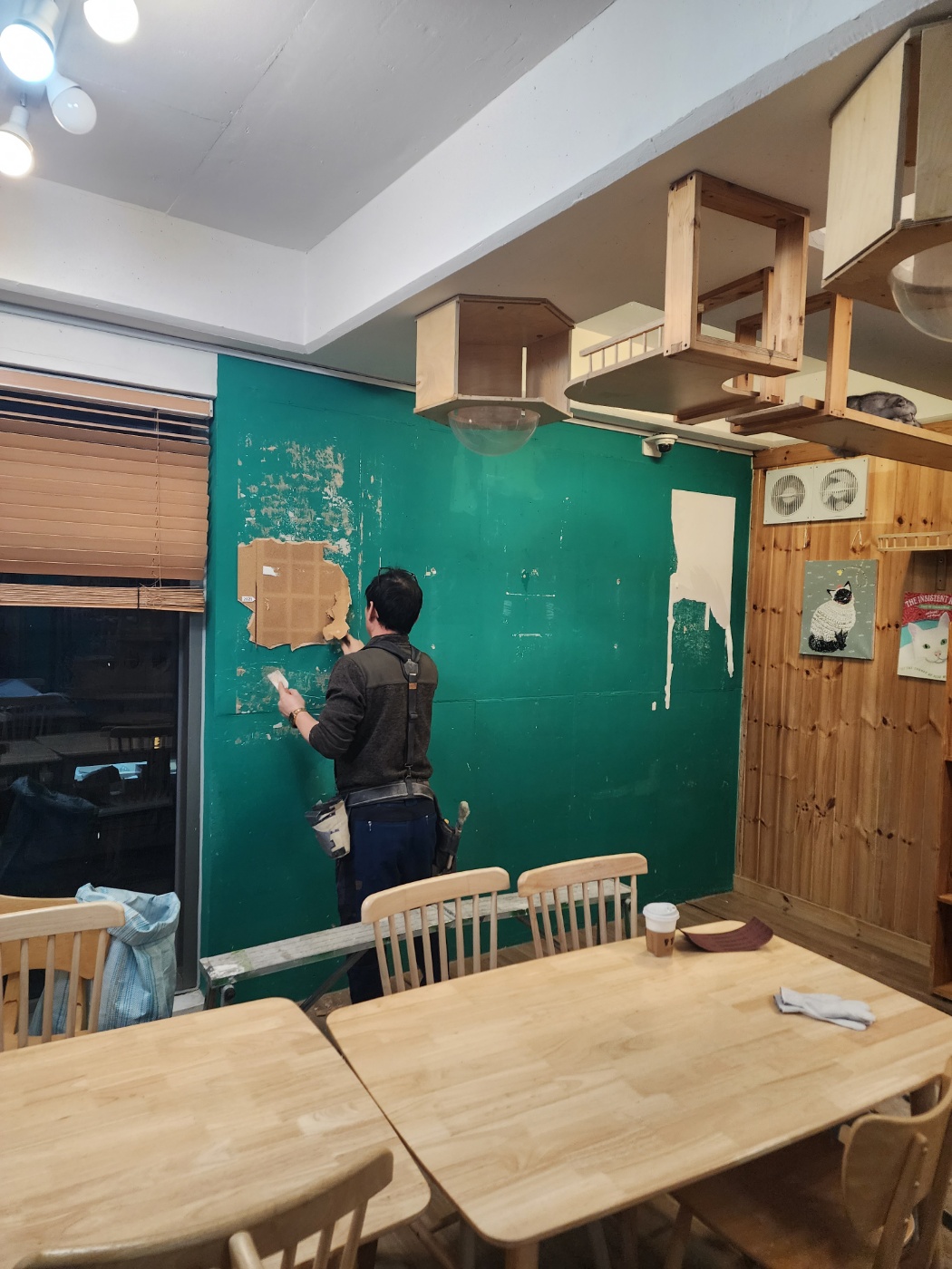 50101d6882c14d1e0e4275e20405a45c_1704423224_765.jpeg